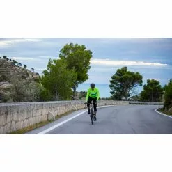 Maglia Ciclismo SANTINI ECOSLEEK BENGAL Maniche Lunghe VF 8 Maglia Ciclismo SANTINI ECOSLEEK BENGAL Maniche Lunghe VF -Vendite Caschi bici maglia ciclismo santini ecosleek bengal maniche lunghe vf 3