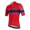 Maglia Ciclismo SANTINI ECOSLEEK BENGAL RS